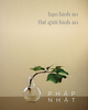  Bạn Bình An, Thế Giới Bình An 