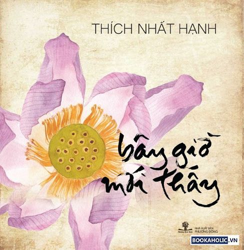  Bây Giờ Mới Thấy 