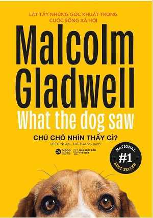  Chú Chó Nhìn Thấy Gì 