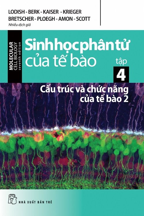  Sinh Học Phân Tử Của Tế Bào 04 - Cấu Trúc Và Chức Năng Của Tế Bào (Phần 2) 