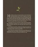  Đập Vỡ Vỏ Hồ Đào (Tái bản 2024) - Thích Nhất Hạnh 