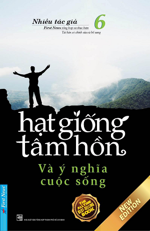  Hạt Giống Tâm Hồn 6: Và Ý Nghĩa Cuộc Sống 