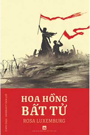  Hoa Hồng Bất Tử 