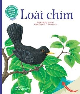  KT11 - Những khám phá đầu tiên của tớ: Loài chim 