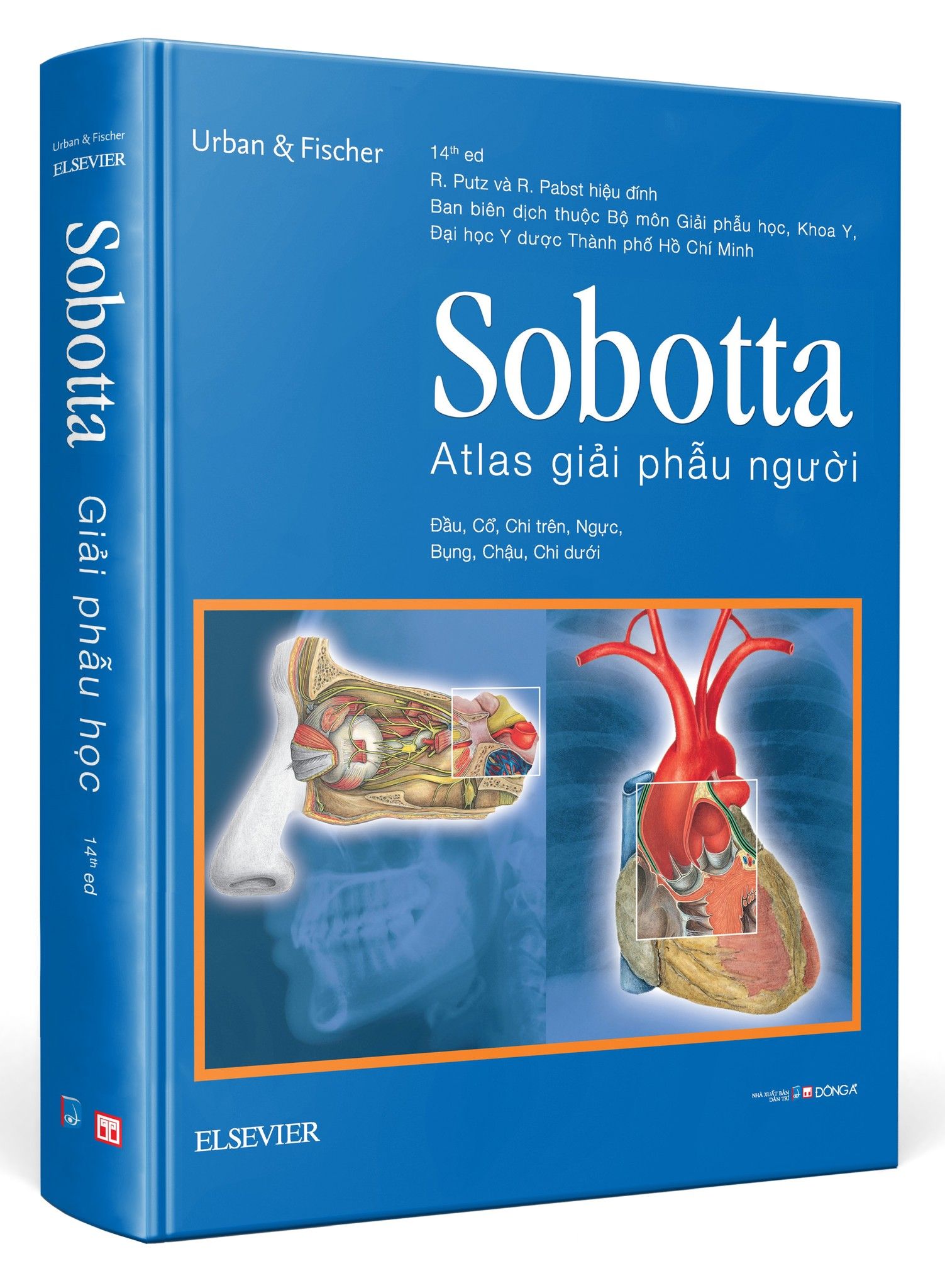  Sobotta Atlas Giải Phẫu Người (Tái Bản 2023) - Johannes Sobotta 