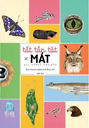  Tất Tần Tật Về Mắt - All About The Eye 