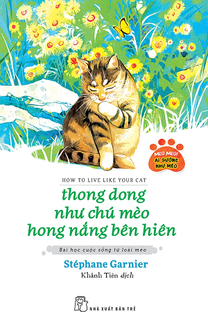  THONG DONG NHƯ CHÚ MÈO HONG NẮNG BÊN HIÊN 