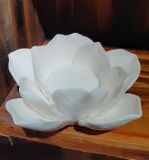  Hoa nến - TN77 