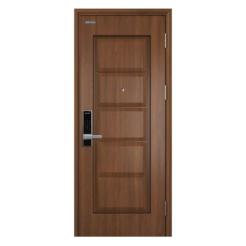 Cửa Thép Vân Gỗ UD.TVG1