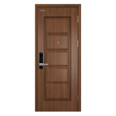 Cửa Thép Vân Gỗ UD.TVG1