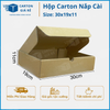  Hộp Carton Nắp Cài Kích Thước 30 x 19 x 11 - Carton Giá rẻ 