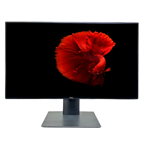  Màn hình LCD DELL 24