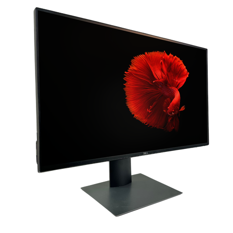  Màn hình LCD DELL 24