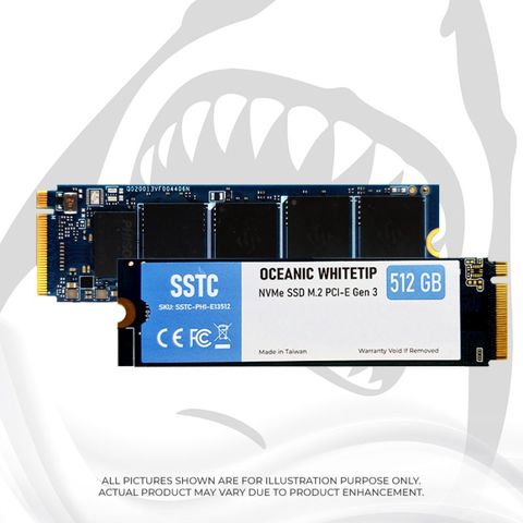 SSD M2-PCIe 256GB SSTC NVMe 2280 