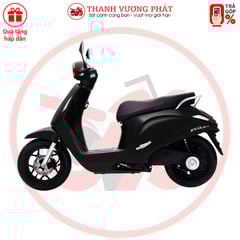 Xe máy điện VinFast Evo Lite Neo