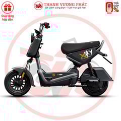 Xe máy điện Yadea X-Sky