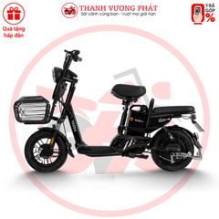 Xe đạp điện Yadea iGo