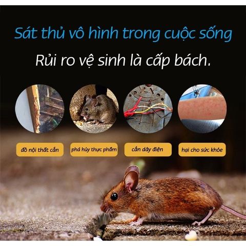 Thuốc Diệt Chuột ARS RAT KILLER Thái Lan - Hộp 80g.