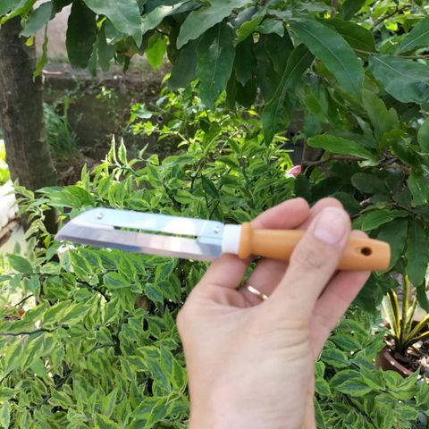 Dao Bào Đa Năng Kiwi Dao Nạo Gọt Củ Quả Inox Hai Lưỡi Hàng Chính Hãng Thái Lan.