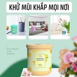 Sáp Thơm Phòng Khử Mùi Air Fres 260G Kháng Khuẩn Hương Thơm Dịu Nhẹ, Tự Nhiên Hàng Nội Địa Trung