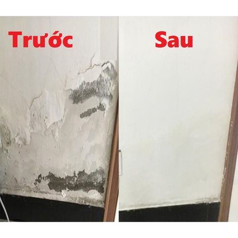 Keo Vá Tường Trám Vết Nứt Tường Nhà Cao Cấp Chống Nước Chống Ẩm Mốc.