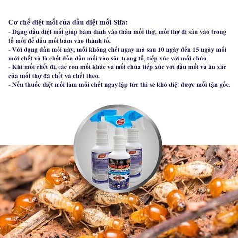 Dầu Diệt Mối Tận Gốc - Hiệu Quả Kéo Dài Nhiều Tuần Dạng Chai Xịt Tiện Dụng.