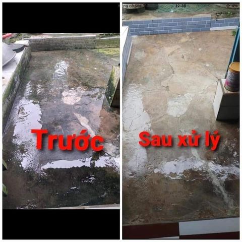 Bột Tẩy Rong Rêu Bảo An, Tẩy Sạch Rong Rêu Bám Trên Sân Nền Xi Măng Gói 500 Gram