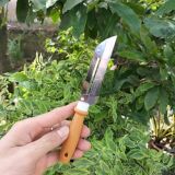 Dao Nạo Inox Gọt Rau Củ Quả 2 Lưỡi, Cán Cầm Inox Chắc Tay An Toàn Tiện Lợi [New Home]