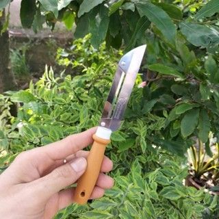 Dao Nạo Inox Gọt Rau Củ Quả 2 Lưỡi, Cán Cầm Inox Chắc Tay An Toàn Tiện Lợi [New Home]