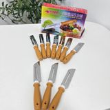 Dao Bào Đa Năng Kiwi Dao Nạo Gọt Củ Quả Inox Hai Lưỡi Hàng Chính Hãng Thái Lan.