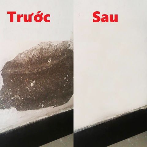 Keo Vá Tường Trám Vết Nứt Tường Nhà Cao Cấp Chống Nước Chống Ẩm Mốc.