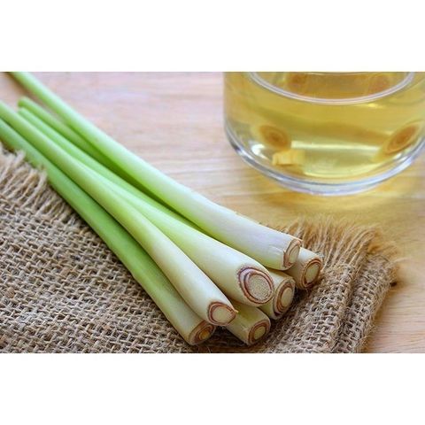 Nước Lau Sàn Nhà Chứa Tinh Dầu Chanh Sả Chuẩn Spa Đuổi Muỗi, Kiến, Gián, Côn Trùng - Chai 1 Lít