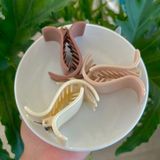 Kẹp Tóc Càng Cua Hàn Quốc Hottrend Tông Màu Trà Sữa Nhẹ Nhàn Trơn Nhám.