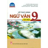 Sách tham khảo - Vở thực hành Ngữ văn 9 tập một (Bộ sách Chân trời sáng tạo)