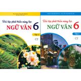 Sách tham khảo - Bài tập phát triển năng lực Ngữ văn 6 (Bám sát SGK Chân trời sáng tạo)