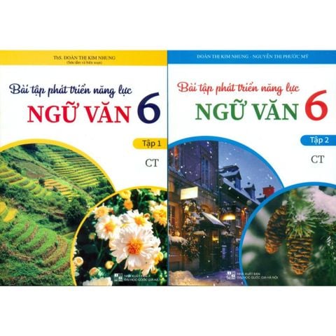 Sách tham khảo - Bài tập phát triển năng lực Ngữ văn 6 (Bám sát SGK Chân trời sáng tạo)