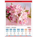 Lịch 53 tuần 2025 treo tường - Xuân yêu thương (lịch xé 1 tờ 1 tuần) - Túi vải
