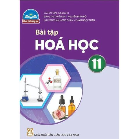 Sách bài tập  -  Hoá học 11 - Chân Trời Sáng Tạo