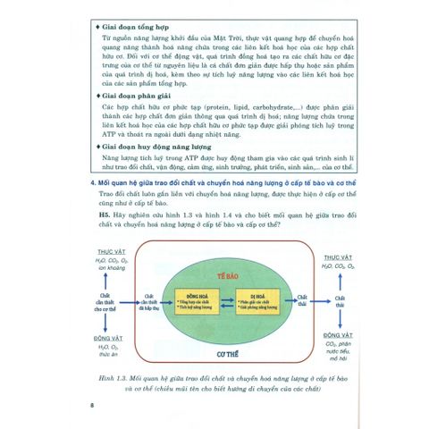 Sách tham khảo - Bồi dưỡng năng lực tự học Sinh học 11 (Theo chương trình GDPT mới)