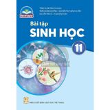 Sách bài tập  -  Sinh học 11 - Chân Trời Sáng Tạo