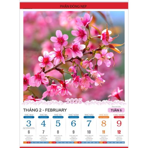 Lịch 53 tuần 2025 treo tường - Xuân yêu thương (lịch xé 1 tờ 1 tuần) - Túi vải