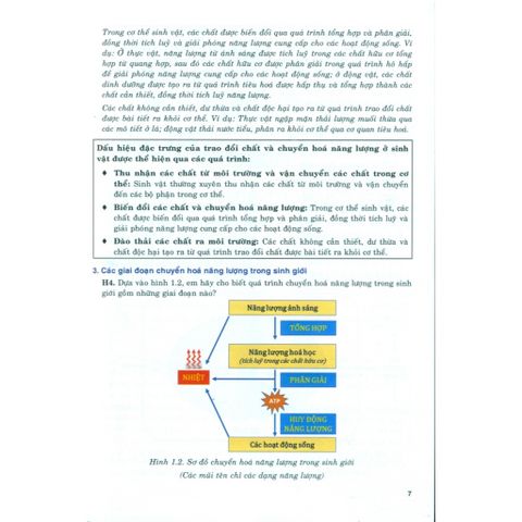 Sách tham khảo - Bồi dưỡng năng lực tự học Sinh học 11 (Theo chương trình GDPT mới)