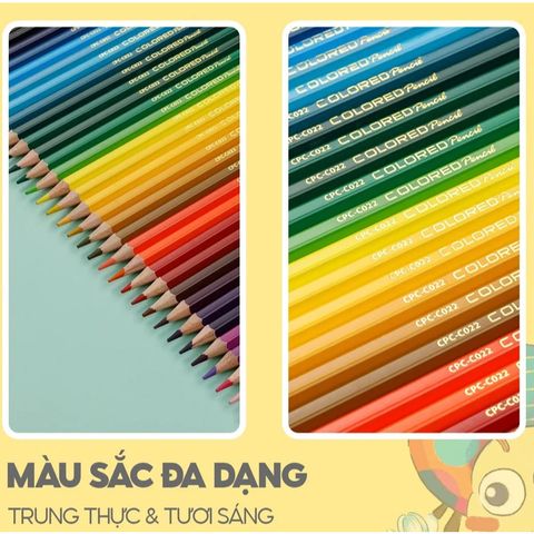 Bút chì màu kèm chuốt chì Thiên Long CPC-C021 24 màu