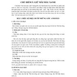 Sách tham khảo - Kế hoạch bài dạy môn Tiếng Việt lớp 5 tập 2 (Bộ sách Chân trời sáng tạo)