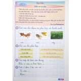 Sách tham khảo - Vở ô li bài tập Tiếng Việt lớp 1 (Theo Chương trình GDPT mới)