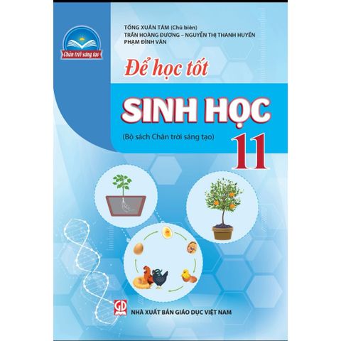 Sách tham khảo - Để học tốt Sinh học 11 (Bộ sách Chân trời sáng tạo)