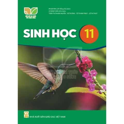 Sách giáo khoa - Sinh học 11 - Kết Nối Tri Thức Với Cuộc Sống