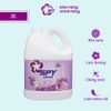  Nước xả vải Spy 5 trong 1 công nghệ hạt lưu hương, chống mốc, hương đắm say 3L 