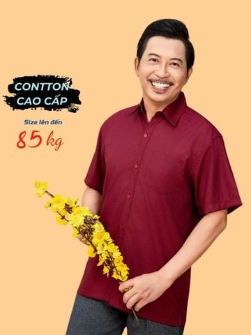Áo sơ mi nam trung niên Thái Khang loại áo sơ mi ngắn tay vải cotton ALUX90