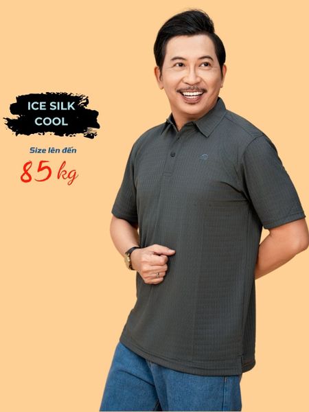 Áo thun nam trung niên Thái Khang chất liệu thun lạnh co giãn 4 chiều ATHUN10